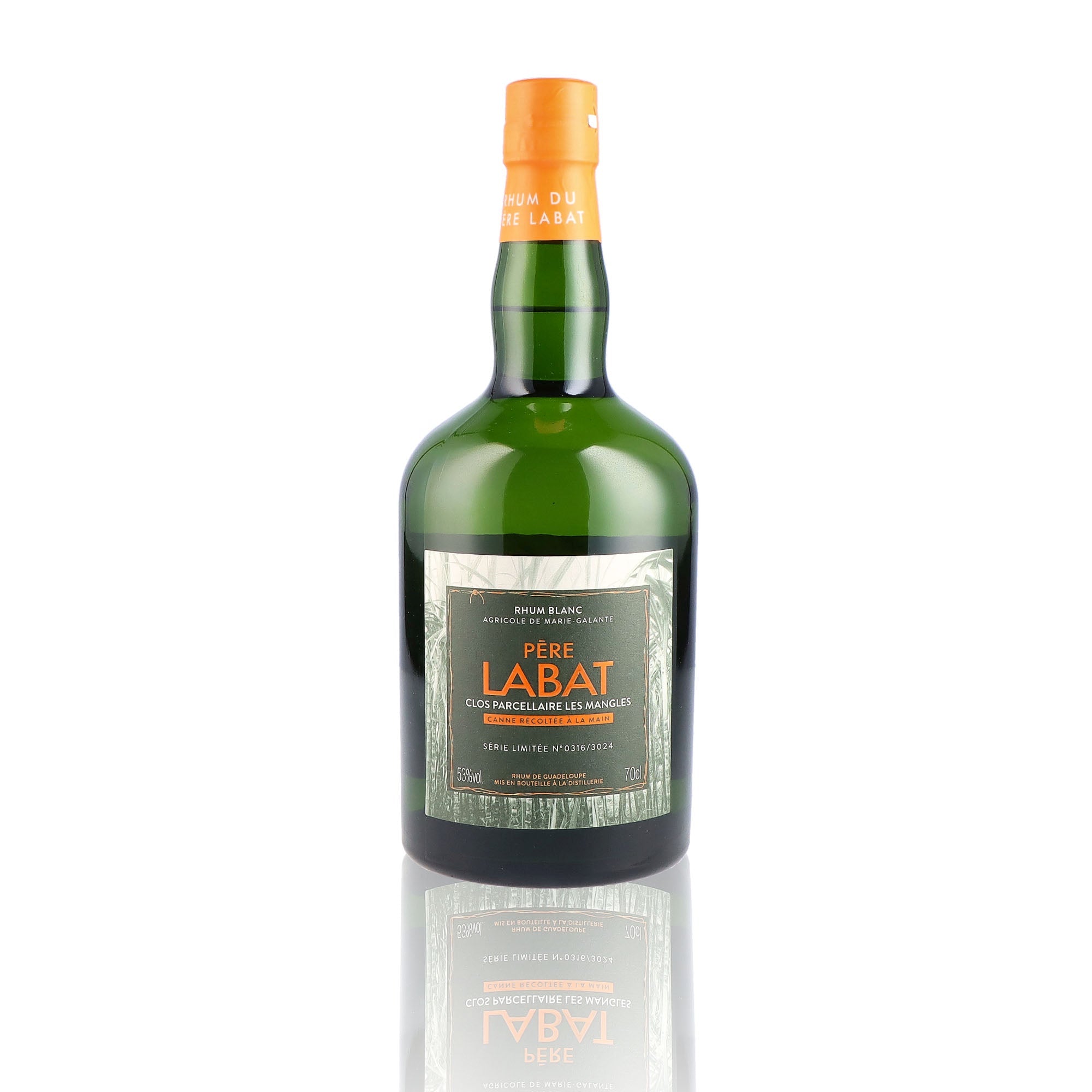 PERE LABAT - Parcellaire Les Mangles - 53%