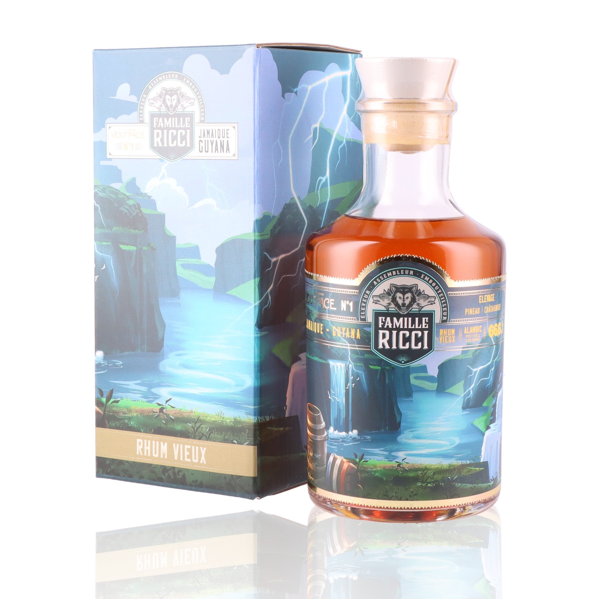 FAMILLE RICCI - Voltface N°1 - 66,6%