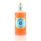 MALFY GIN - Arancia - 41%