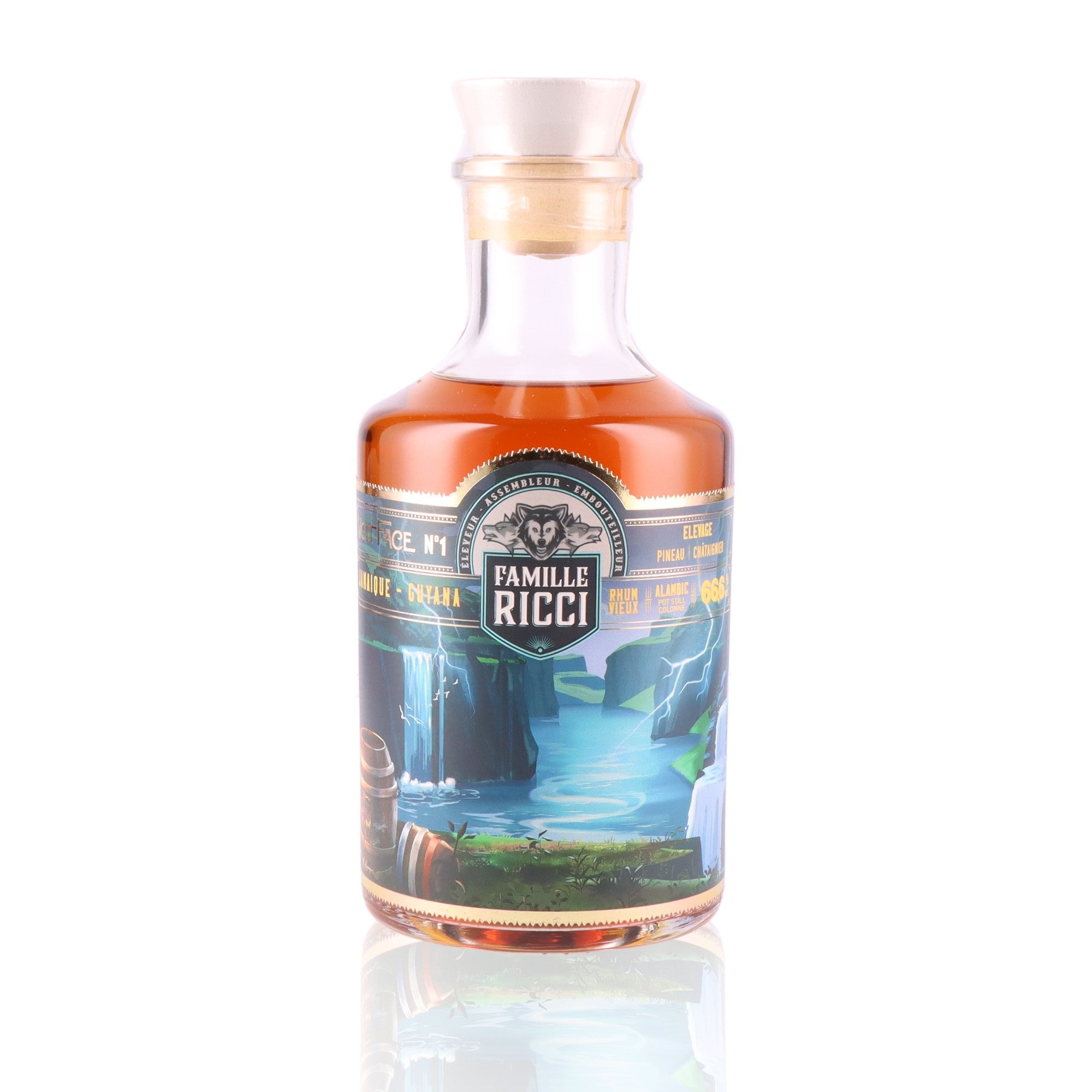 FAMILLE RICCI - Voltface N°1 - 66,6%